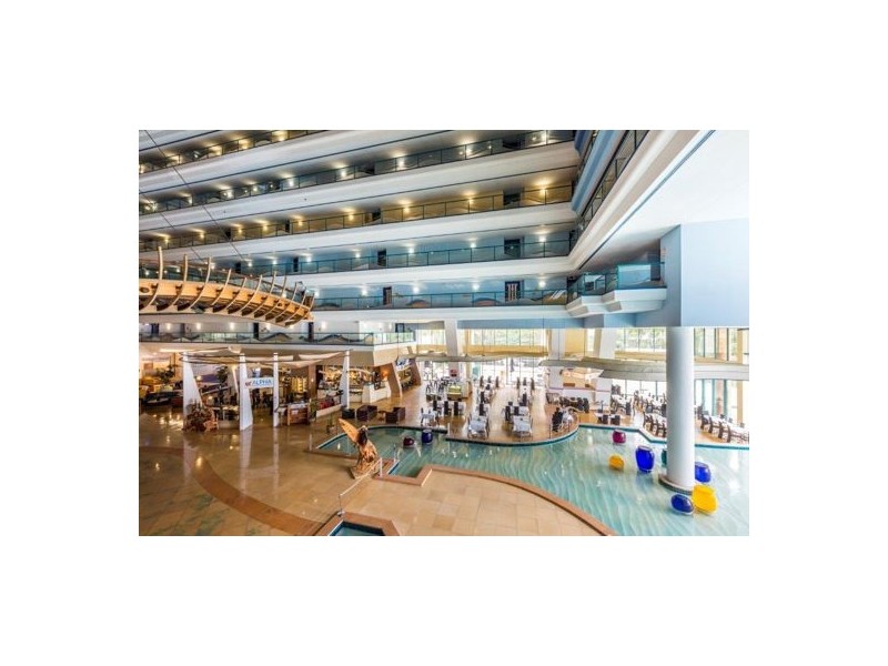 4 5 Palm Ave, Surfers Paradise QLD 4217