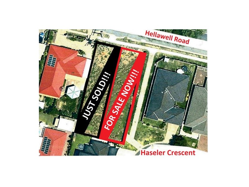 1 Haseler Crescent (335 Hellawell Rd), Sunnybank Hills QLD 4109