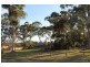 35 Yewleaf  Place, Calamvale QLD 4116