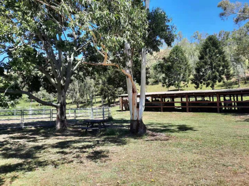 55 Walker Drive, Kooralbyn QLD 4285