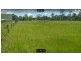 205 Bardon Road, Berrinba QLD 4117