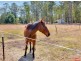 4544 Mt Lindesay Hwy, North Maclean QLD 4280