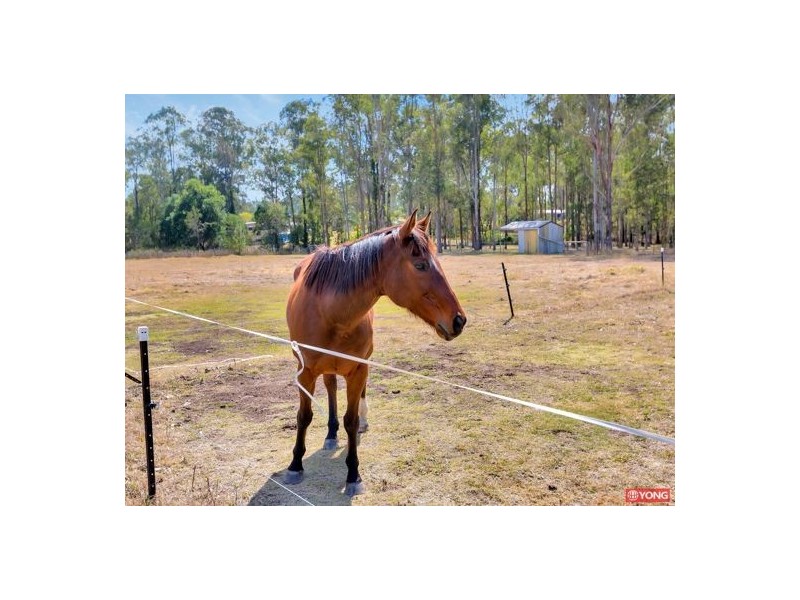 4544 Mt Lindesay Hwy, North Maclean QLD 4280