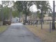 Tamborine QLD 4270