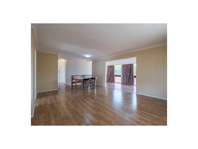 17 Laver Street, Macgregor QLD 4109