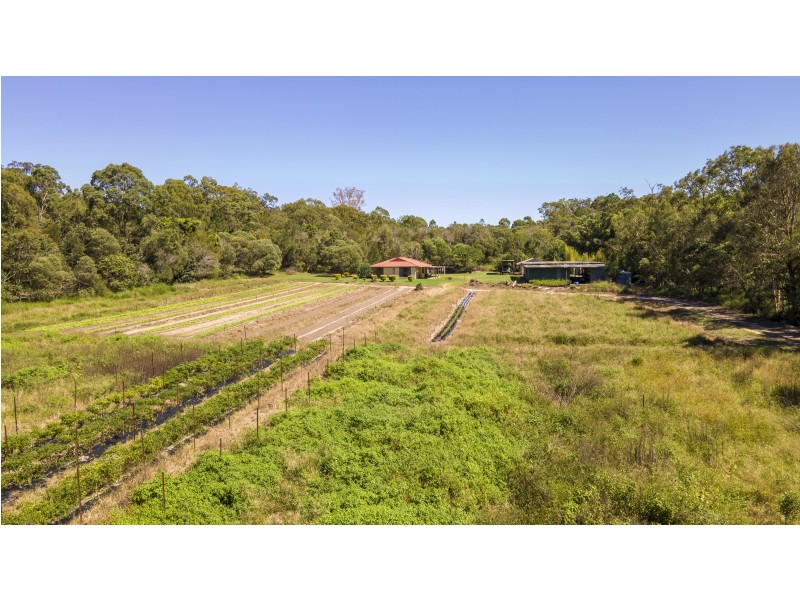 105 Lindenthal Road, Park Ridge QLD 4125