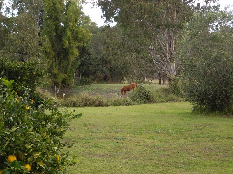 65 Coolibah Rd, Jimboomba QLD 4280