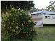 65 Coolibah Rd, Jimboomba QLD 4280