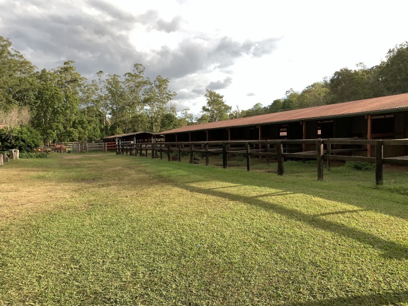 79B Ogilvie Place, Kooralbyn QLD 4285