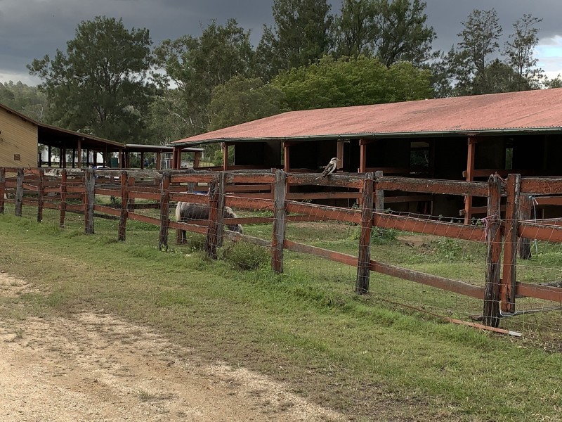 79B Ogilvie Place, Kooralbyn QLD 4285