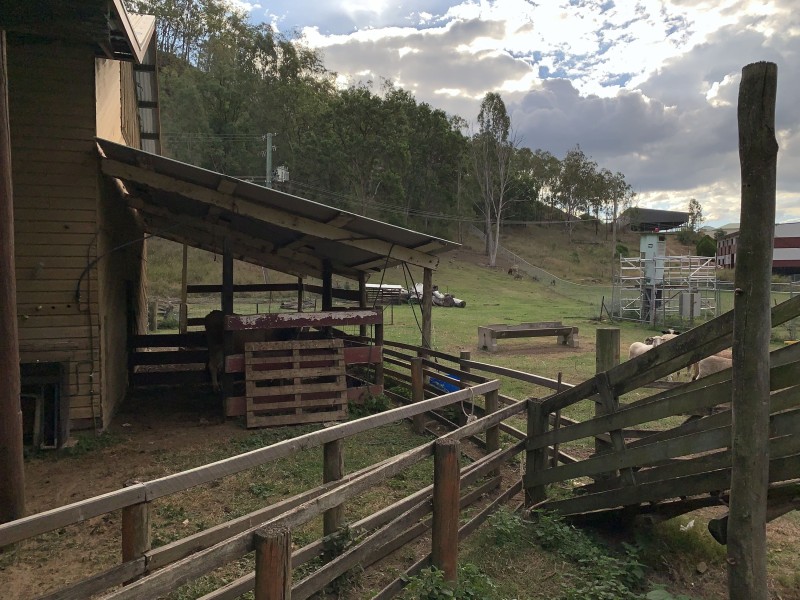 79B Ogilvie Place, Kooralbyn QLD 4285