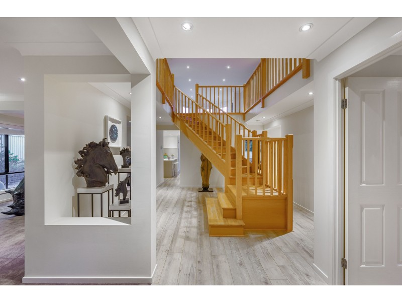 51 Willowleaf Close, Stretton QLD 4116