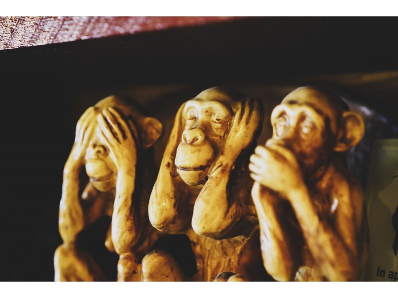 58 Mollison Street, West End QLD 4101