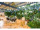 Stretton QLD 4116