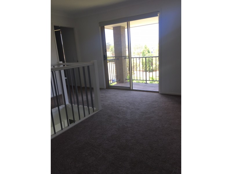 1 Sugar Glider Street, Berrinba QLD 4117