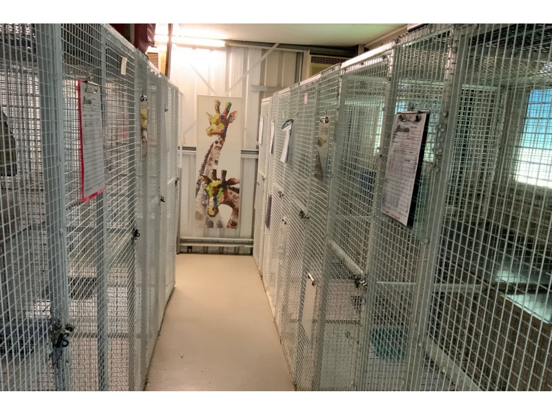 1829 Mount Cotton Rd, Cornubia QLD 4130