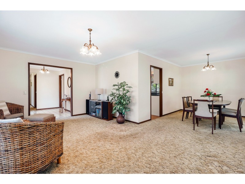 3 Icarus Street, Robertson QLD 4109