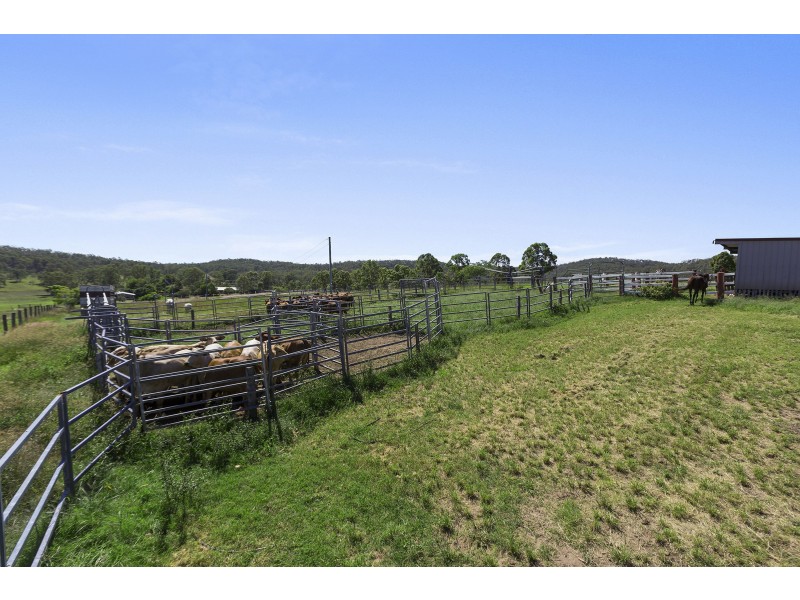 1293 Ripley Road, South Ripley QLD 4306