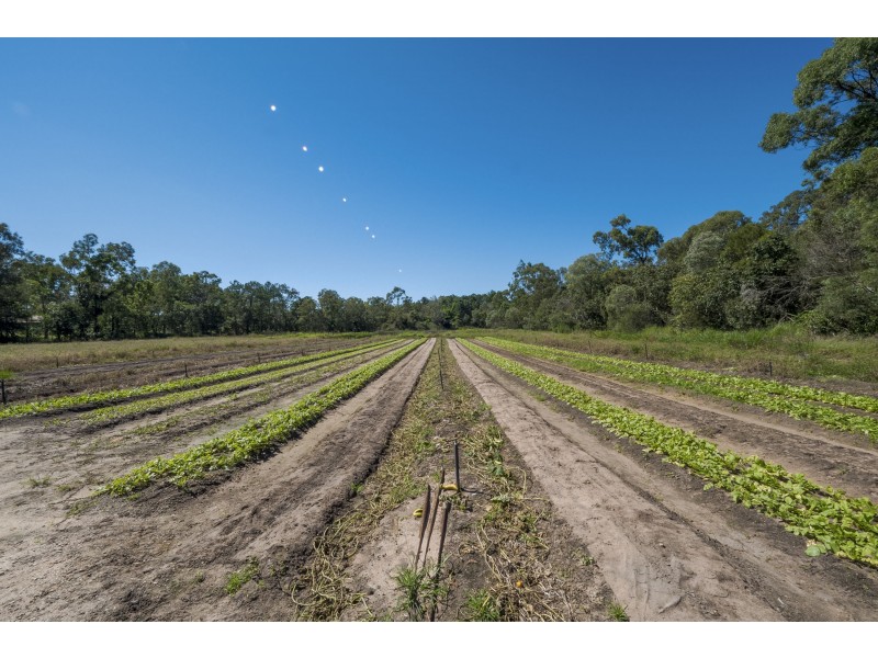 .105 Lindenthal Road, Park Ridge QLD 4125