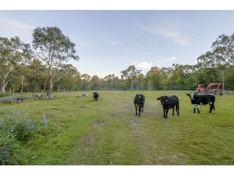 Park Ridge South QLD 4125