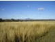 Harrisville QLD 4307