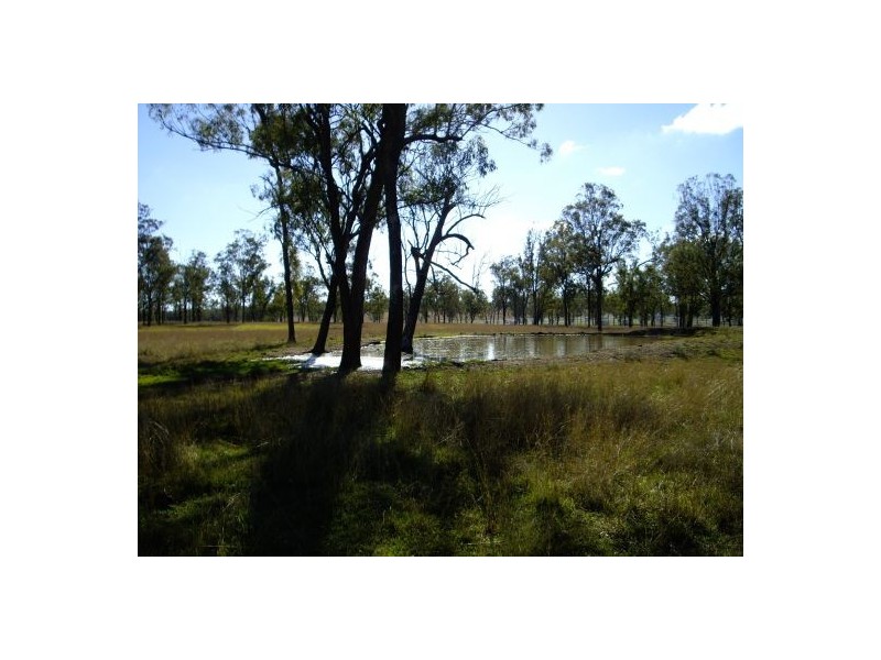 Harrisville QLD 4307