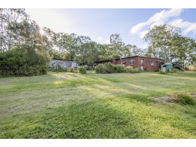 51 Rosia Road, Park Ridge South QLD 4125