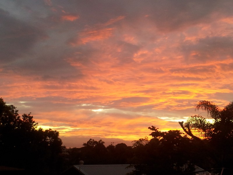 29 Anise Street, Wishart QLD 4122