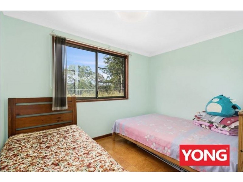 53 Salston Road, Greenbank QLD 4124
