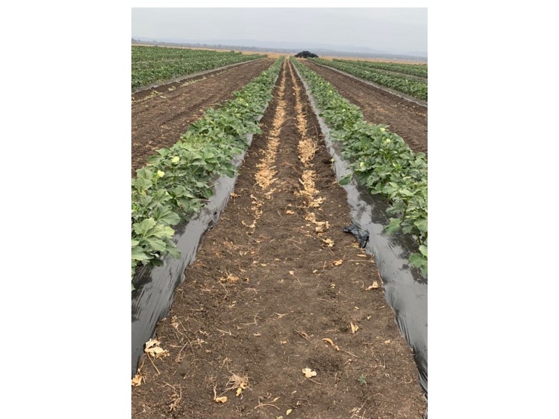 4 Waters Road, Kentville QLD 4341