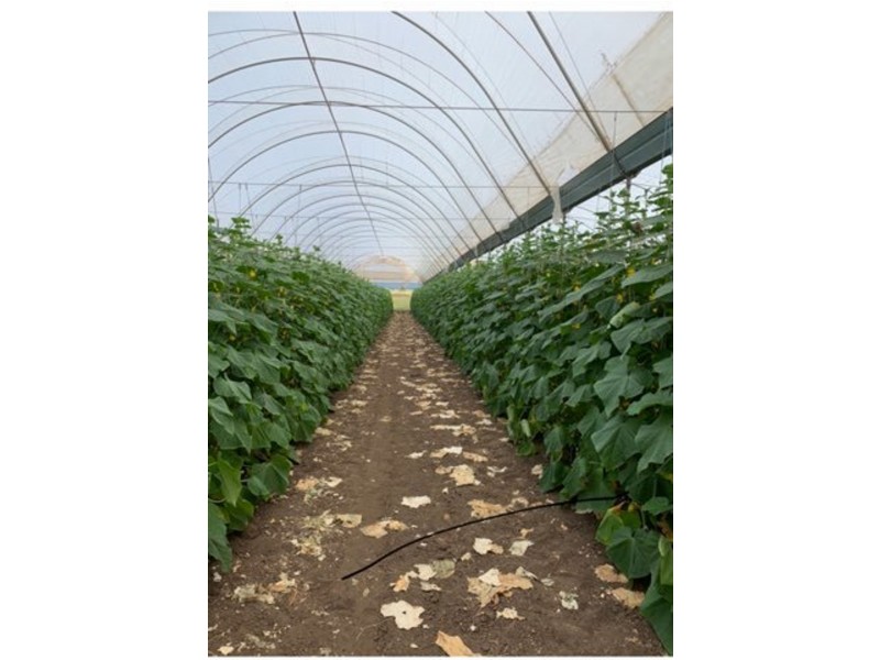 4 Waters Road, Kentville QLD 4341