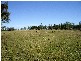 Harrisville QLD 4307