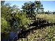 Harrisville QLD 4307