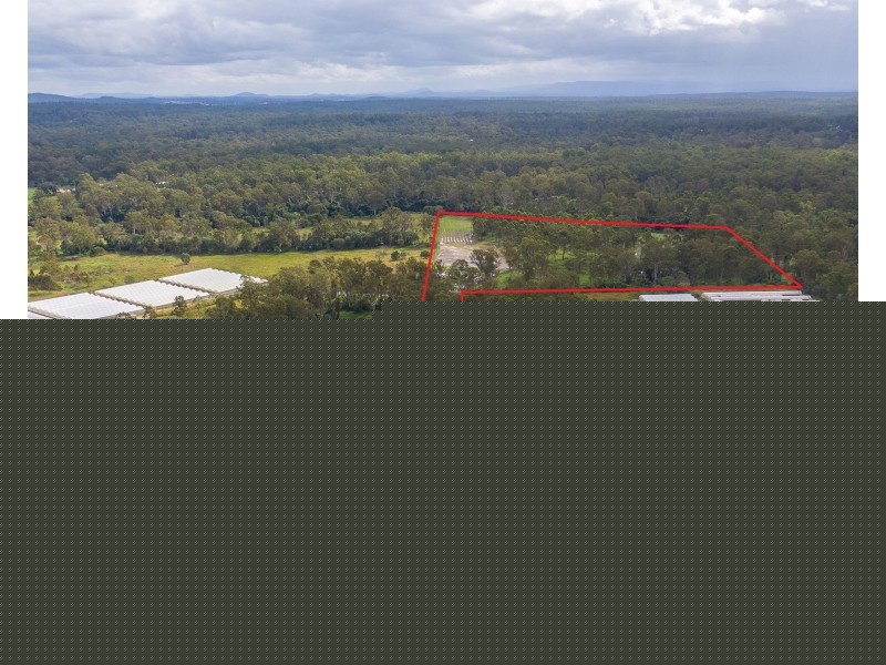 151 New Beith Road (Green Bank Fresh Flowers), Greenbank QLD 4124