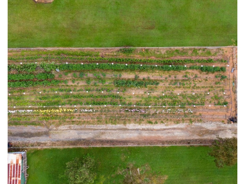 151 New Beith Road (Green Bank Fresh Flowers), Greenbank QLD 4124