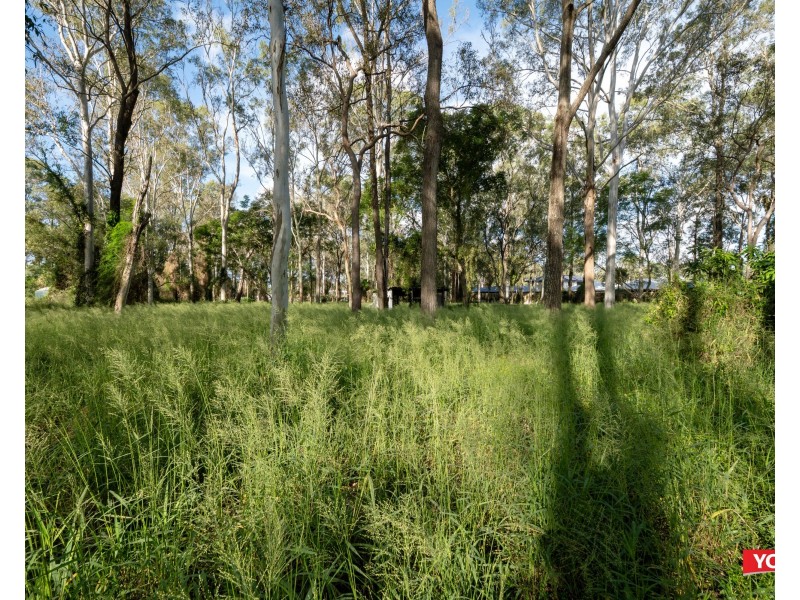 168 LAXTON ROAD, Pallara QLD 4110