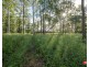 168 LAXTON ROAD, Pallara QLD 4110