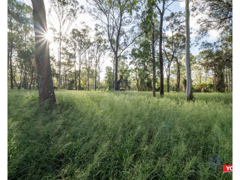 168 LAXTON ROAD, Pallara QLD 4110