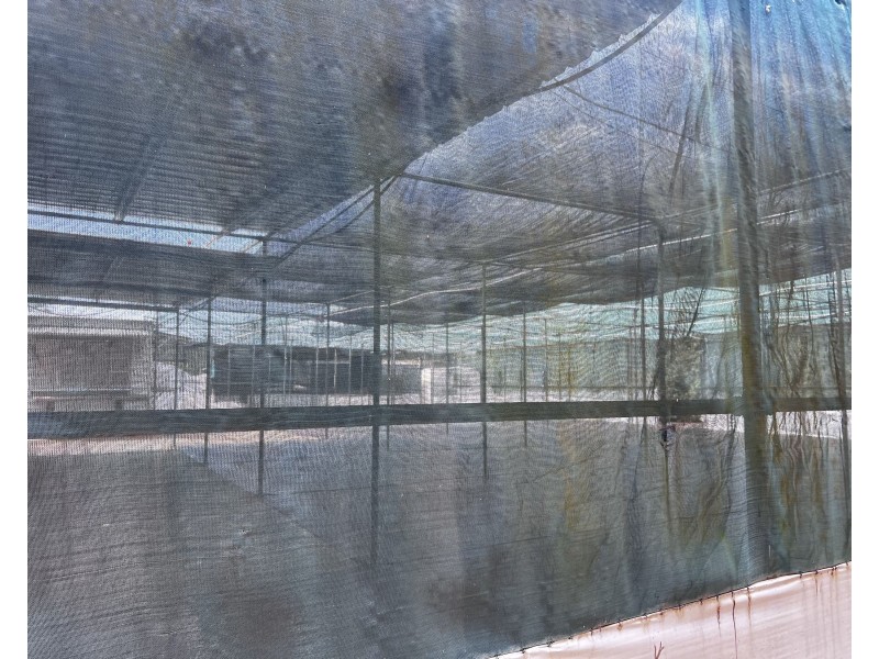 212 Rosia Road, Park Ridge QLD 4125