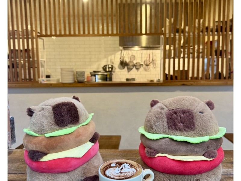 Unit2 2 Hibiscus Haven, Burleigh Heads QLD 4220