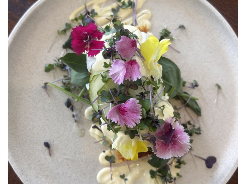 Unit2 2 Hibiscus Haven, Burleigh Heads QLD 4220