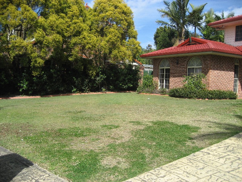 29 Ingluna Cct, Eight Mile Plains QLD 4113