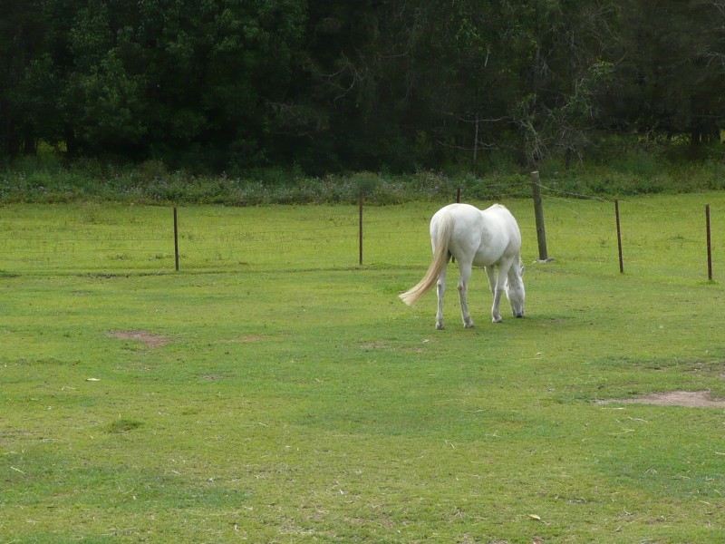 Eight Mile Plains QLD 4113