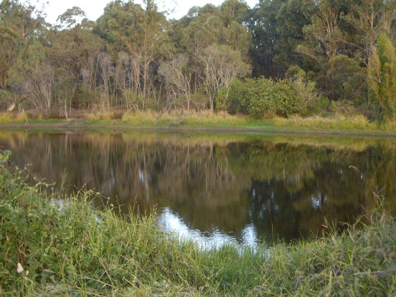 Jimboomba QLD 4280