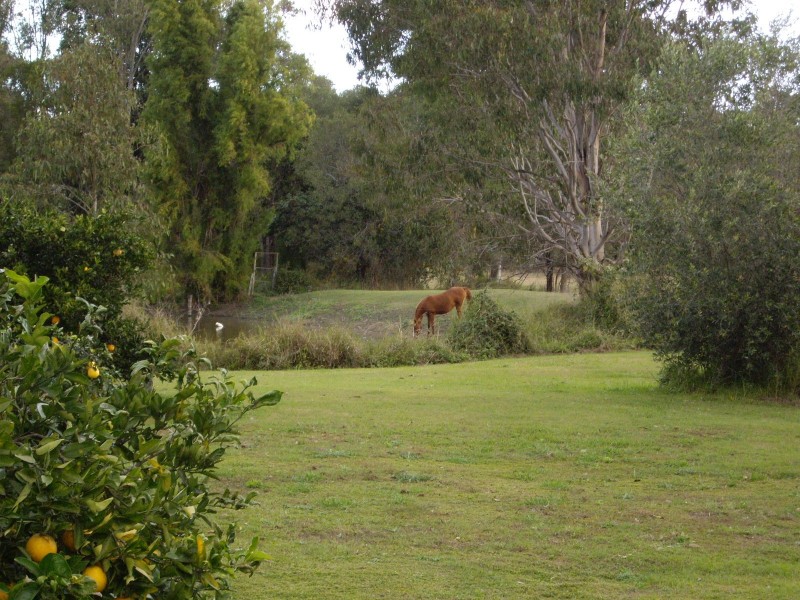 Jimboomba QLD 4280