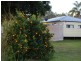 Jimboomba QLD 4280
