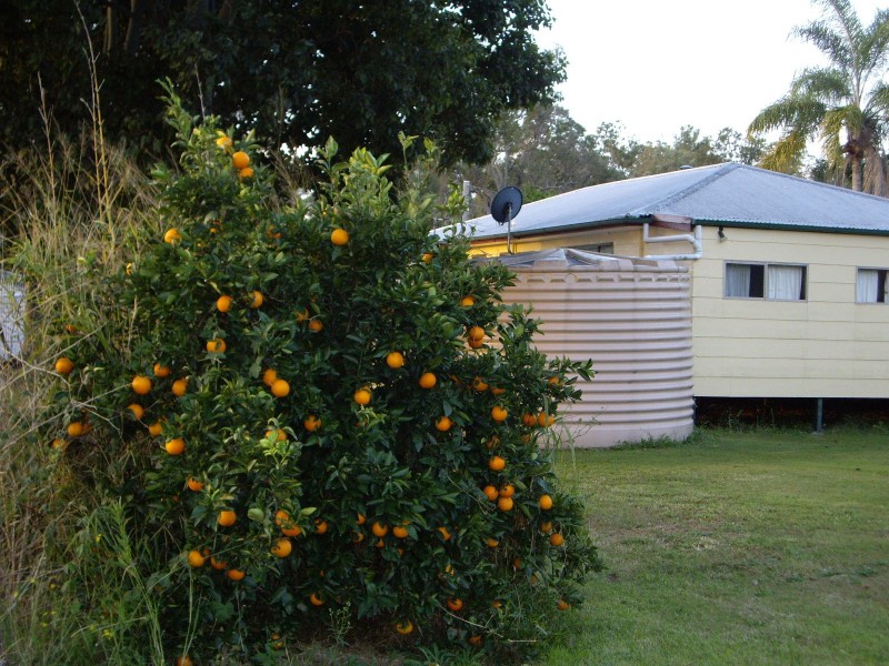 Jimboomba QLD 4280