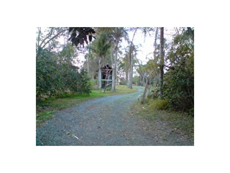 288 Stoney Camp Road, Park Ridge South QLD 4125