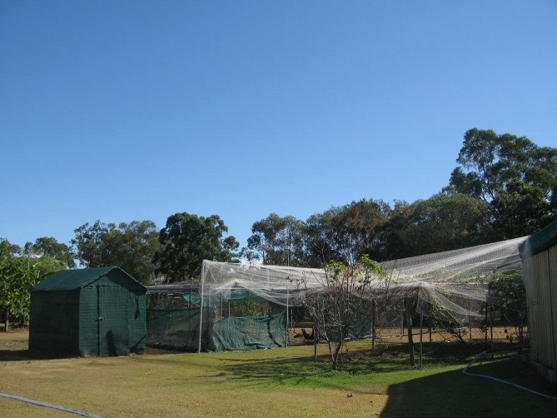 127 Talinga Dr, Park Ridge QLD 4125