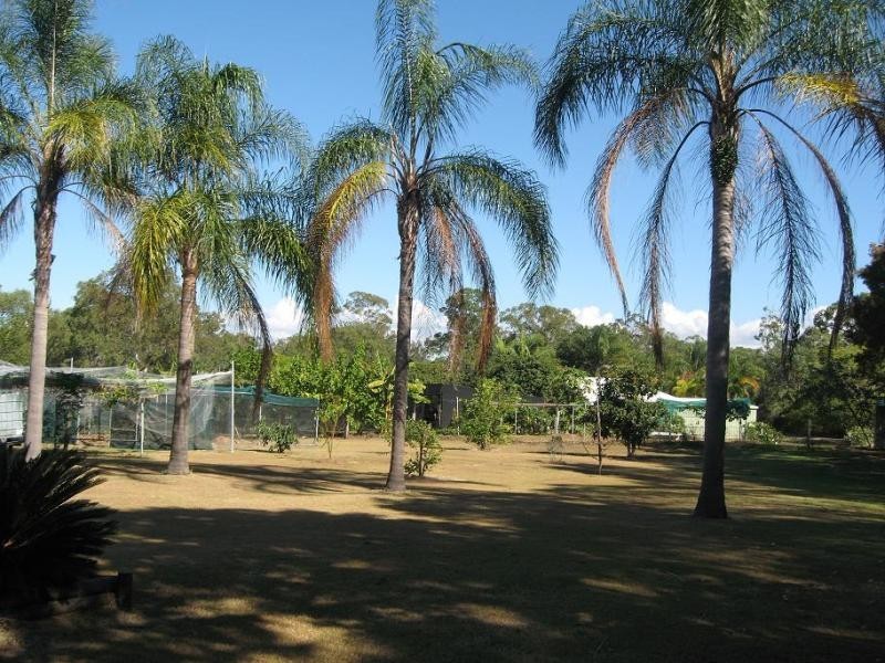 Park Ridge QLD 4125